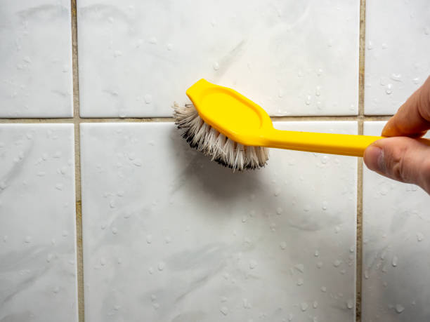 Best Residential Mold Removal  in Pinedale, WY
